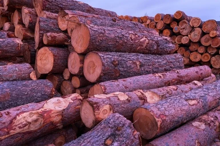 Why FSC is vital