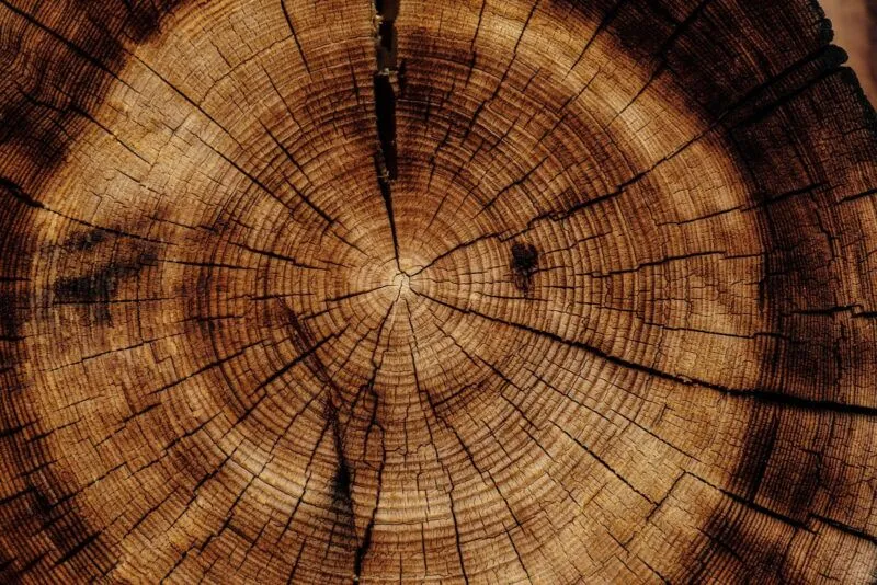 Importance of FSC labels