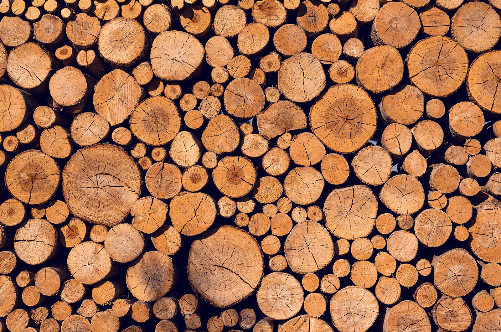 Durable Timber for Bespoke Wooden Gates and Entryways