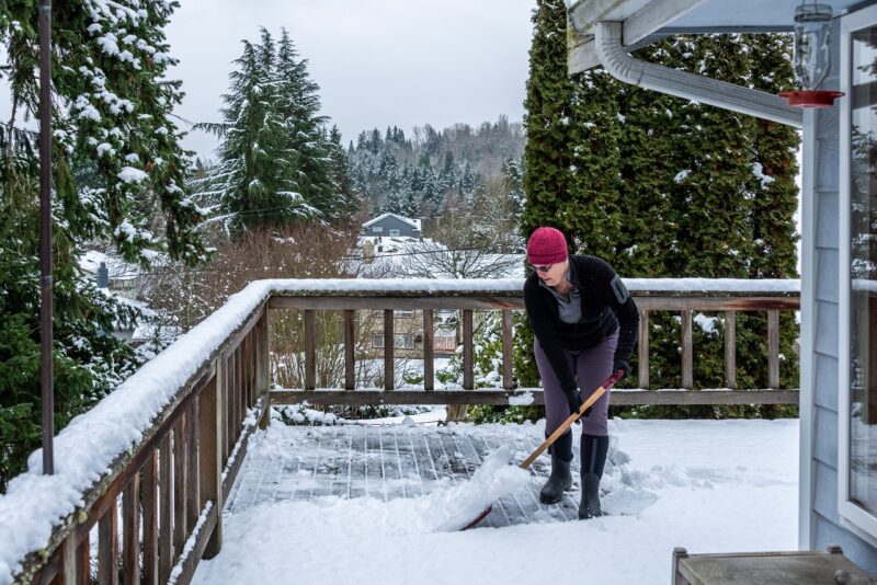 winter timber maintenance