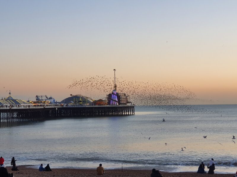 History of the British pier