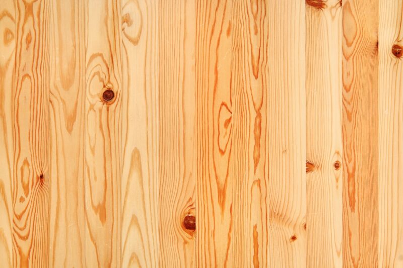Causes of timber knots