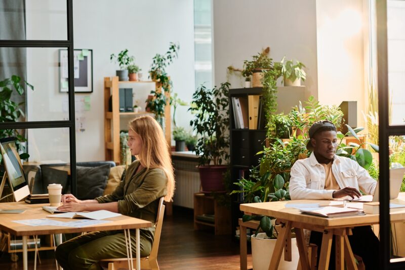 timber and biophilic design