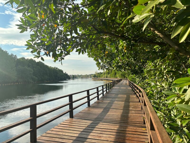 Durable outdoor timber guide