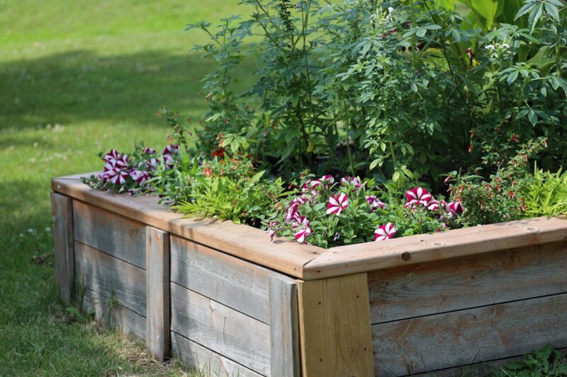 Timber planter