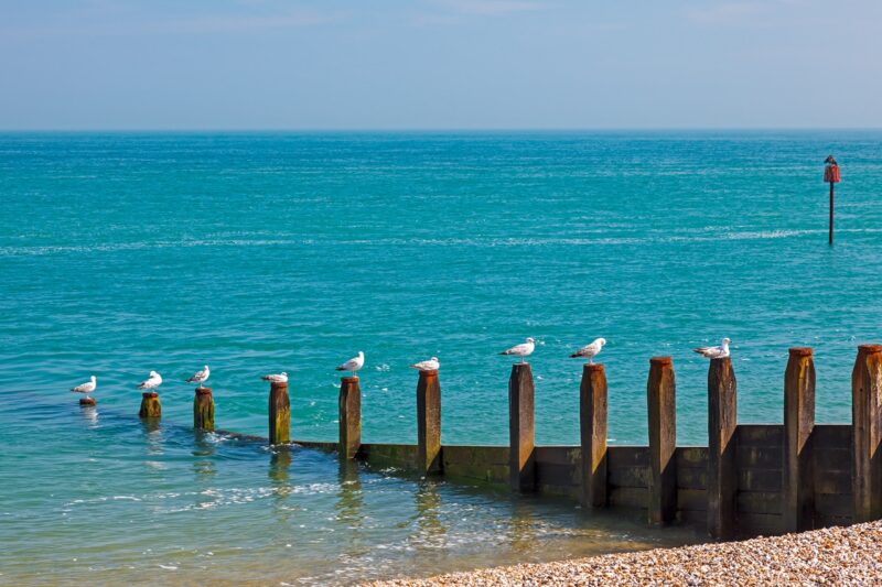 Marine and coastal development